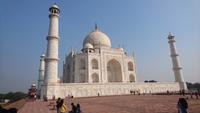 Taj Mahal in der Sonne