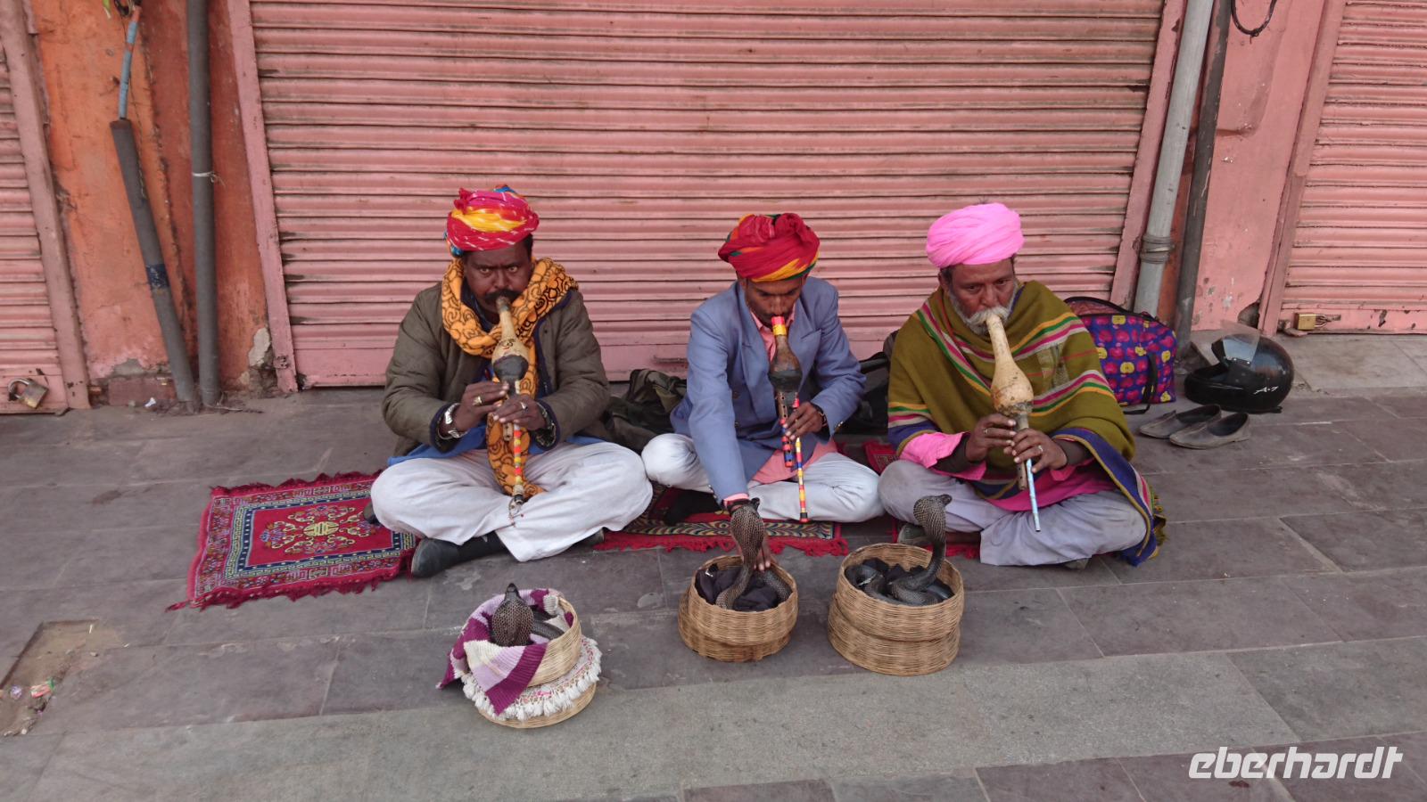 Kobramänner am Palast der Winde in Jaipur