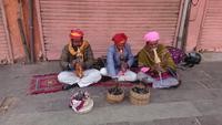 Kobramänner am Palast der Winde in Jaipur