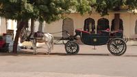Maharadscha-Kutsche in Jaipur