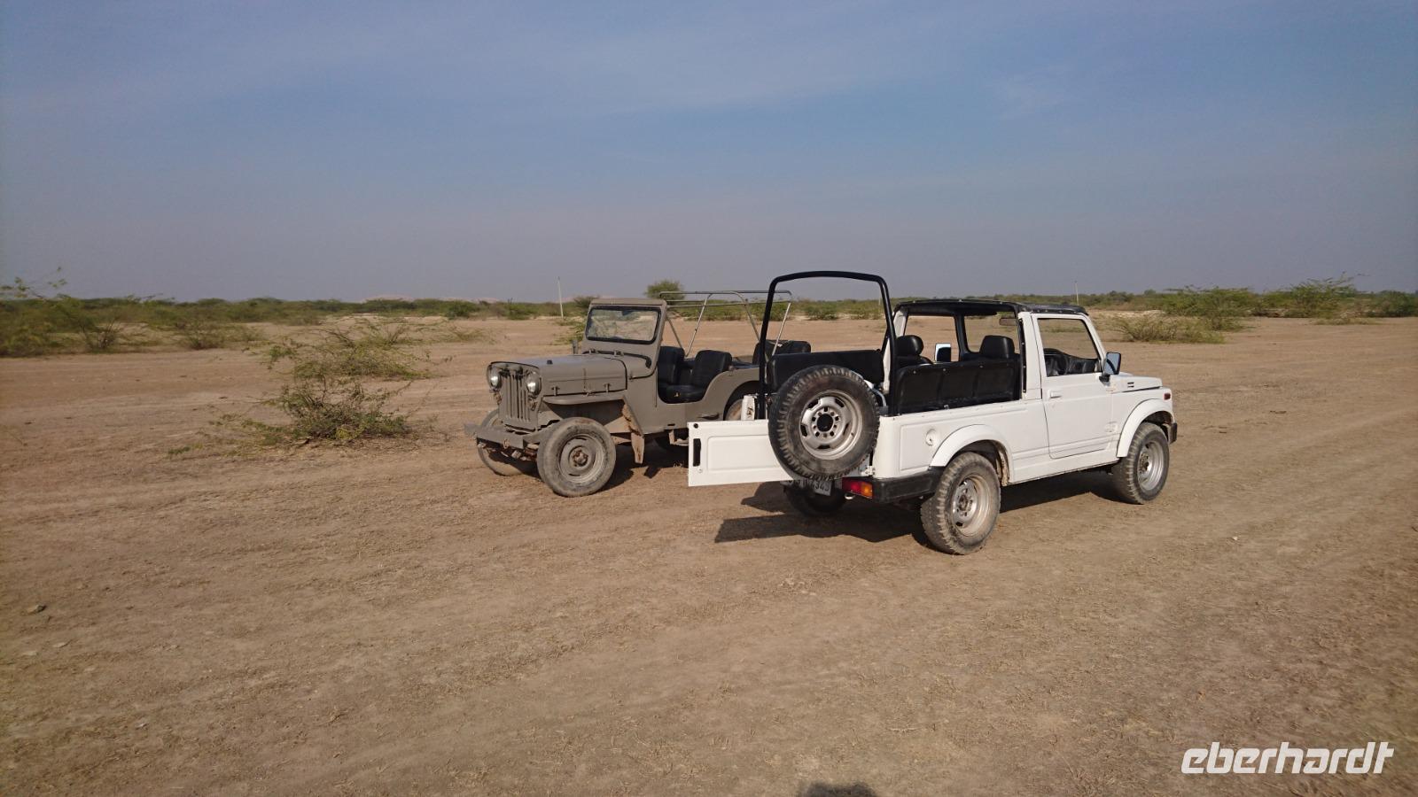 Unterwegs auf Safari