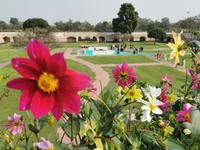 Verbrennungsplatz des Mahatma, Delhi