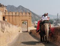 Ritt auf das Amber Fort