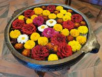  Blumenschale im Hotel, Ranthambhore Nationalpark