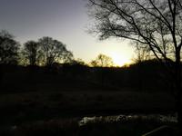Morgenstimmung im Ranthambhore Nationalpark