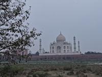Taj Mahal vom Mehtab Bagh Park aus gesehen