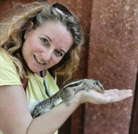 Ganz und gar nicht scheu, diese Streifenhörnchen, Agra