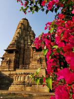 Von Bougainville umwucherter Tempel in Khajuraho