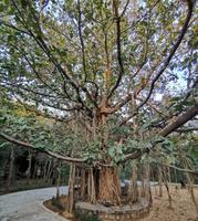 Lodge im Bandhavgarh Nationalpark