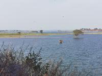 Landschaft im Bundesstaat Madhya Pradesch
