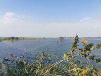 Großer See, Madhya Pradesch