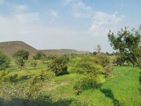 Landschaft im Bundesstaat Madhya Pradesch