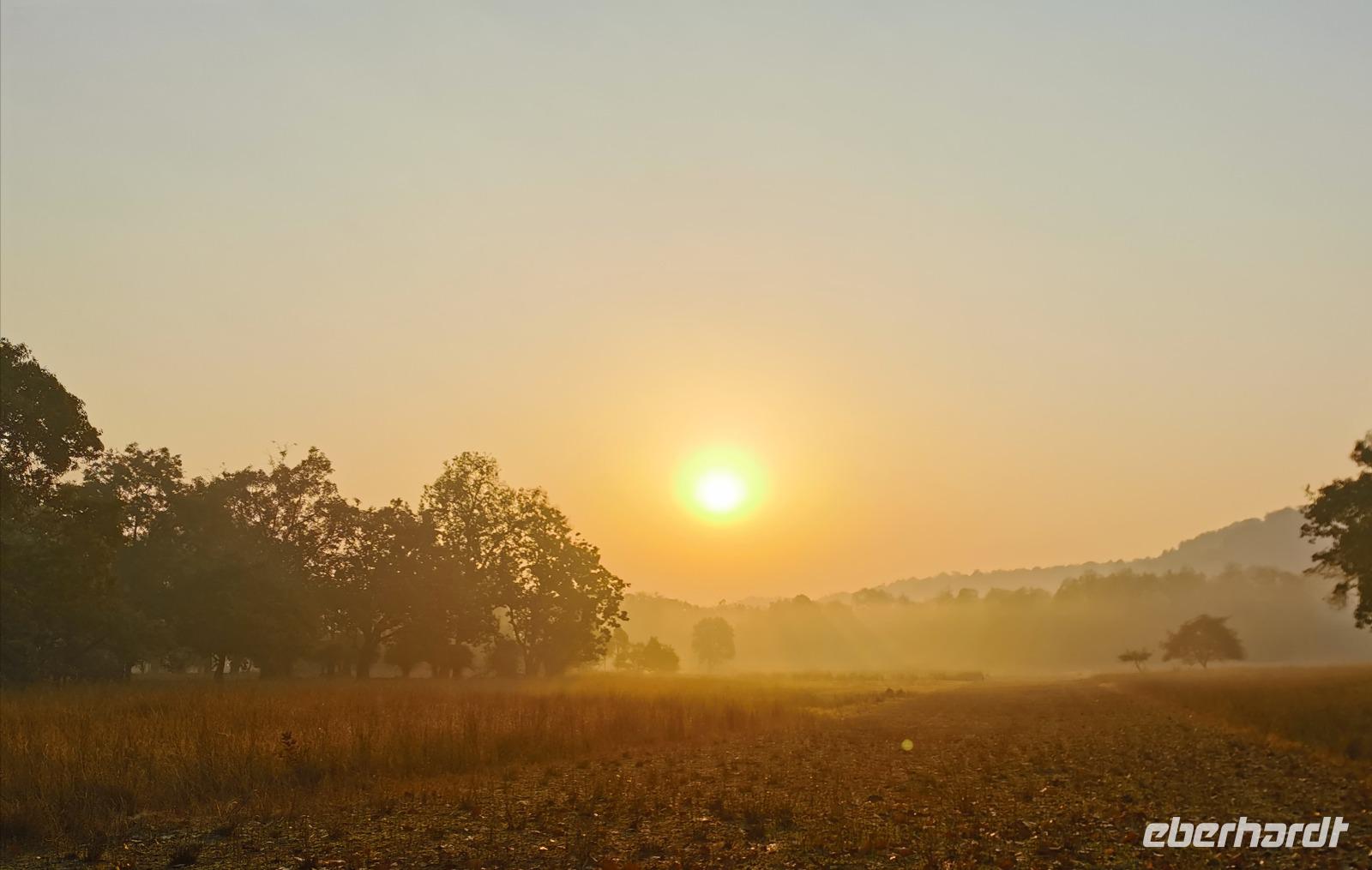 Sonnenaufgang im Bandhavghar Nationalpark