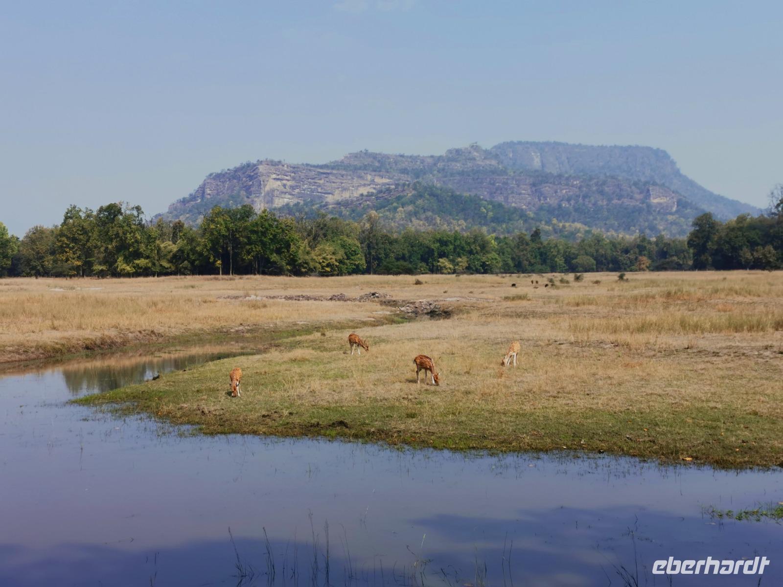 Bandhavgarh Nationalpark, Kulisse wie in Südafrika