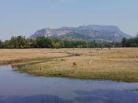 Bandhavgarh Nationalpark, Kulisse wie in Südafrika