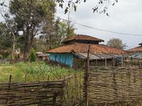 Ländliches Indien, Madhya Pradesch, das Türkis soll die Moskitos fern halten