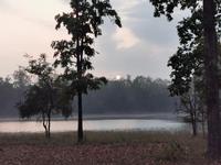 Die Sonne geht auf im Kanha Nationalpark