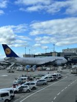 1 Flug nach Delhi ab Frankfurt