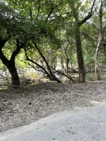 56 Keoladeo-Nationalpark