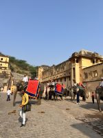 77 Mit den Elefanten hoch zum Amber Fort