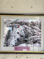 112 Stadtpalast der Maharanas - Bärengemälde