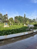 120 Lustgarten Udaipur