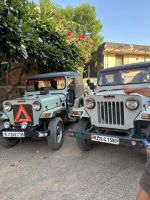 136 Jeep Safari in Khejarla