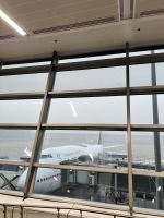 183 Rückflug nach Frankfurt - Boeing 787