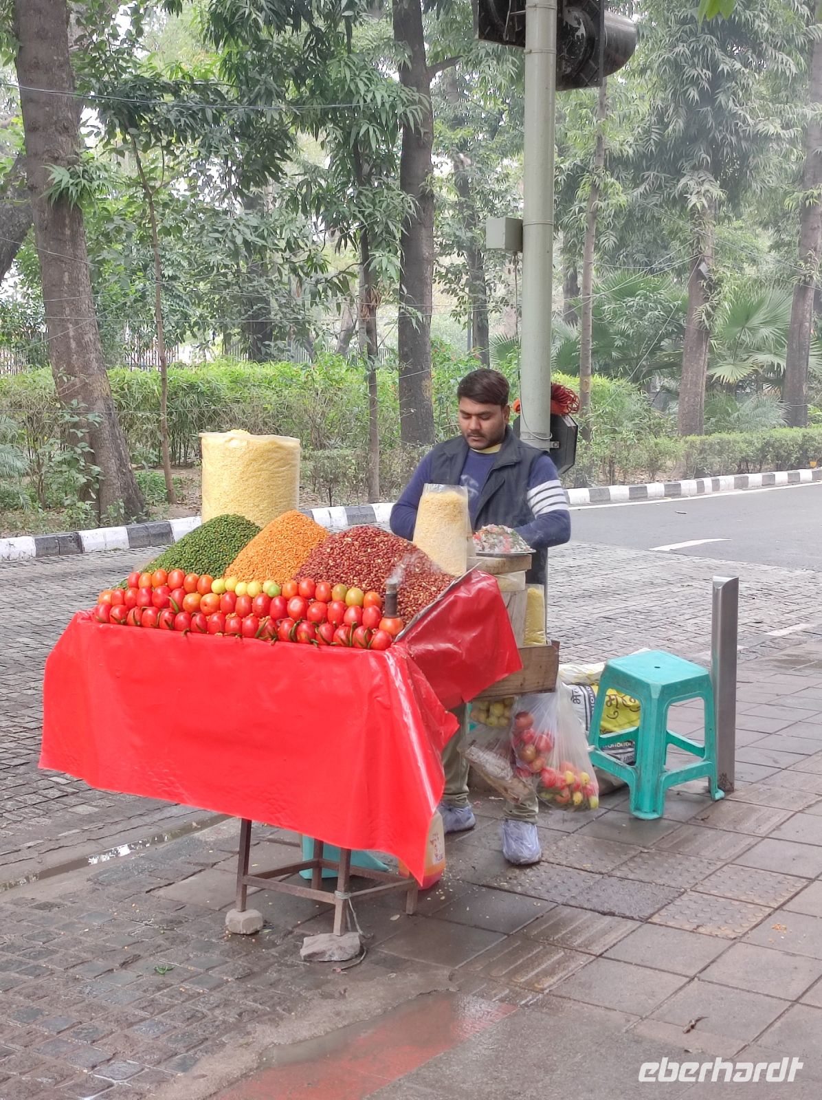 Obsthändler in Neu Delhi, Indien