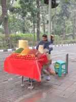 Obsthändler in Neu Delhi, Indien