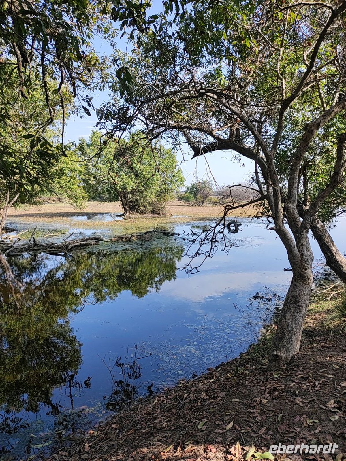 Keoladeo-Nationalpark in Indien