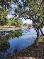 Keoladeo-Nationalpark in Indien