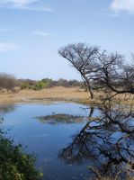 Keoladeo-Nationalpark in Indien