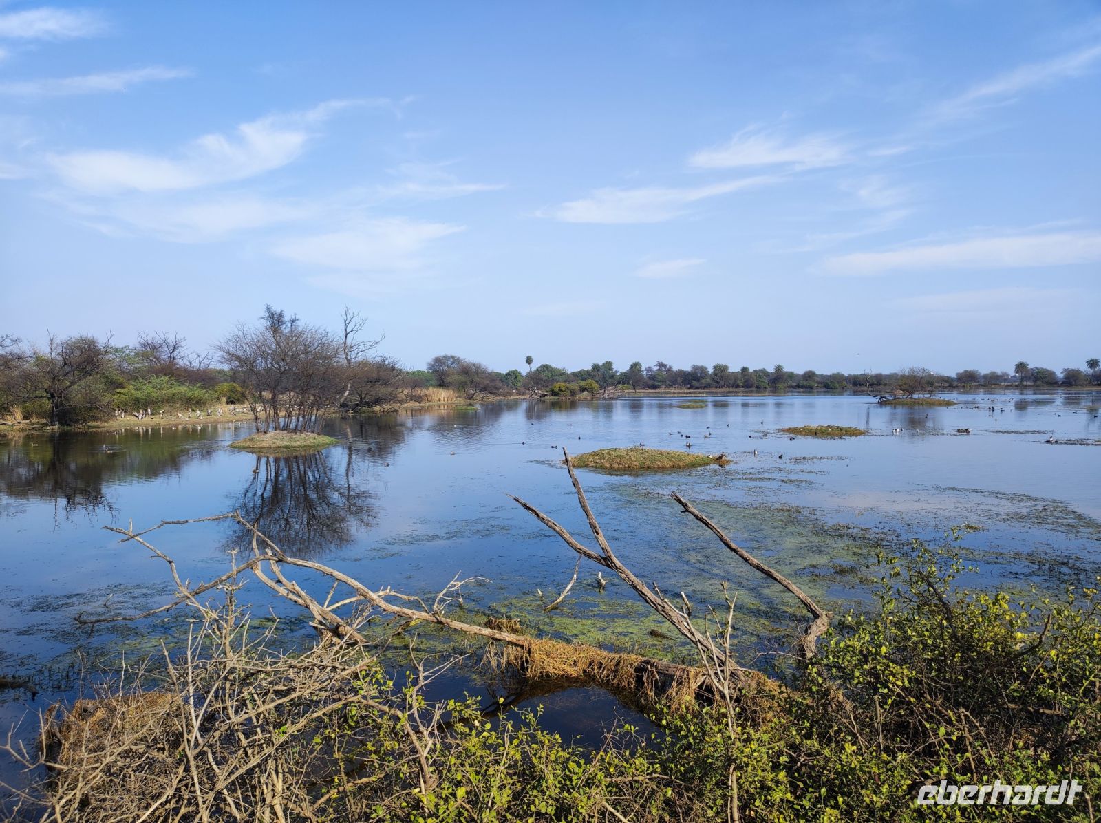 Keoladeo-Nationalpark in Indien
