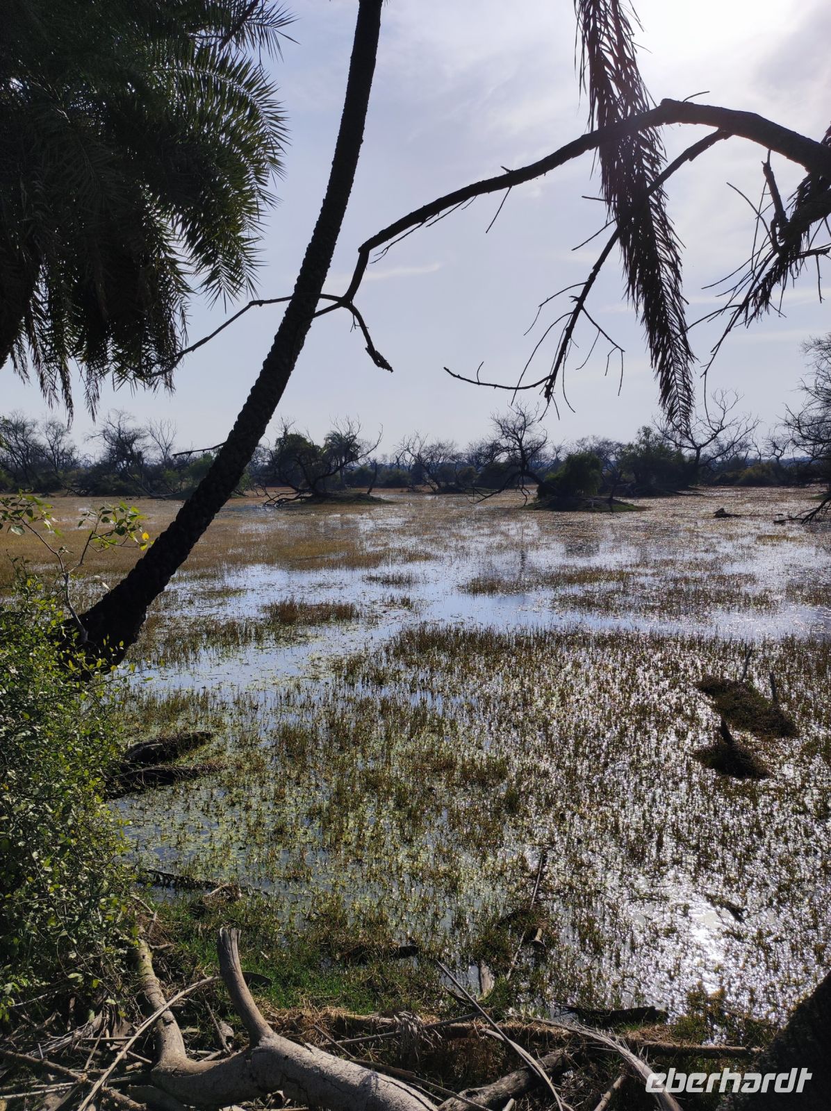 Keoladeo-Nationalpark in Indien