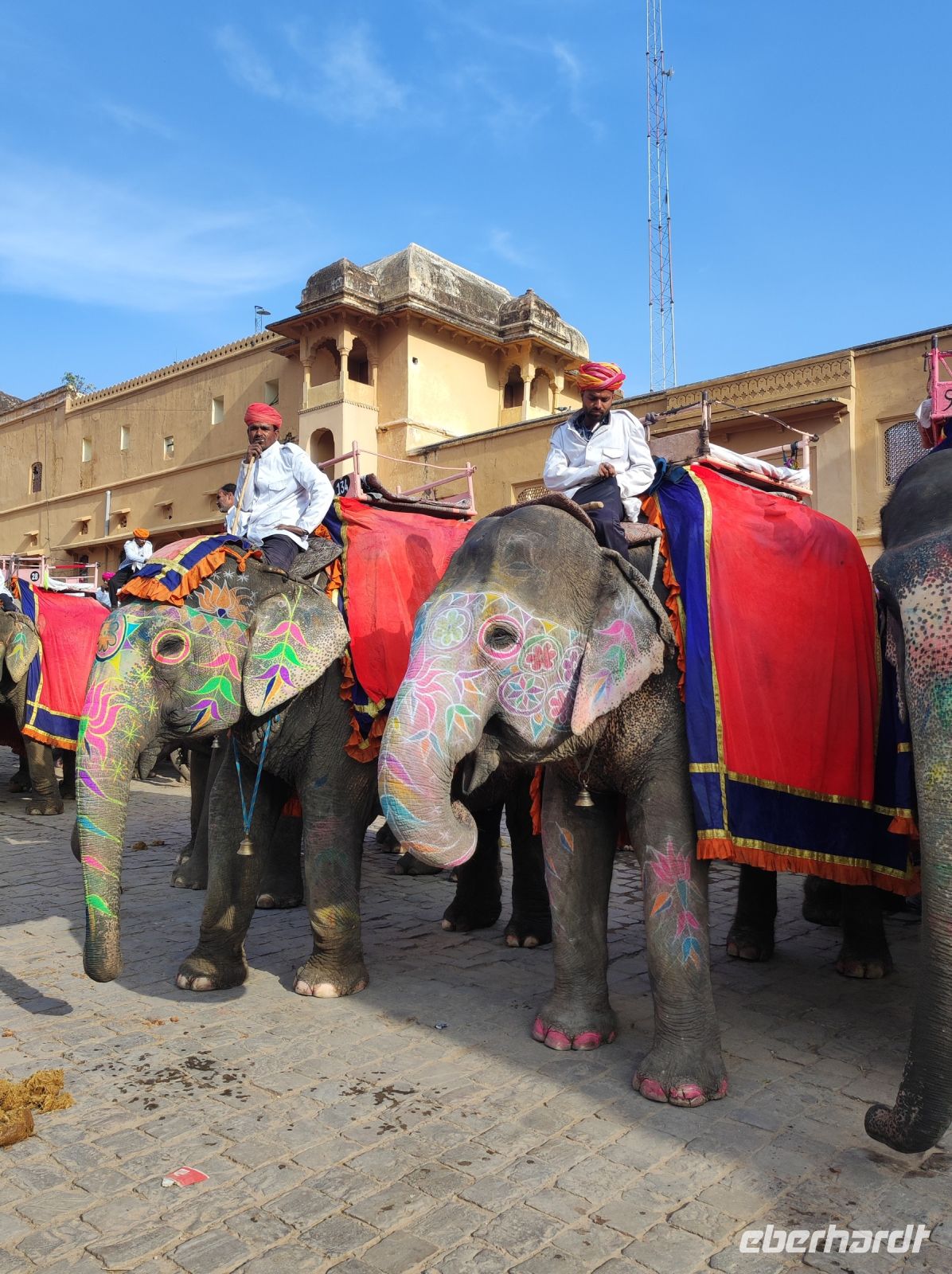 Elefanten vor dem Amber Fort in Jaipur, Rajesthan - Indien