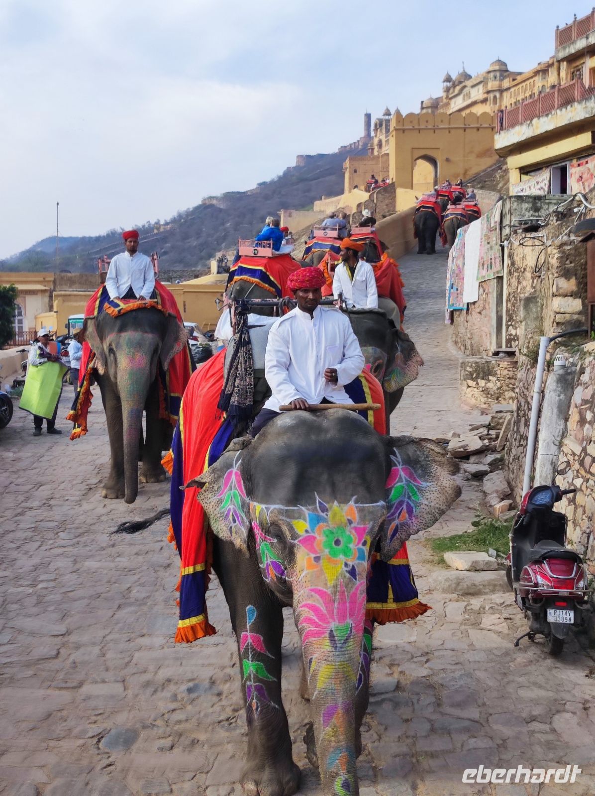 Auf dem Elefanten hoch auf das Amber Fort in Jaipur, Rajesthan - Indien