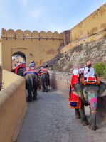 Auf dem Elefanten hoch auf das Amber Fort in Jaipur, Rajesthan - Indien