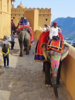 Auf dem Elefanten hoch auf das Amber Fort in Jaipur, Rajesthan - Indien