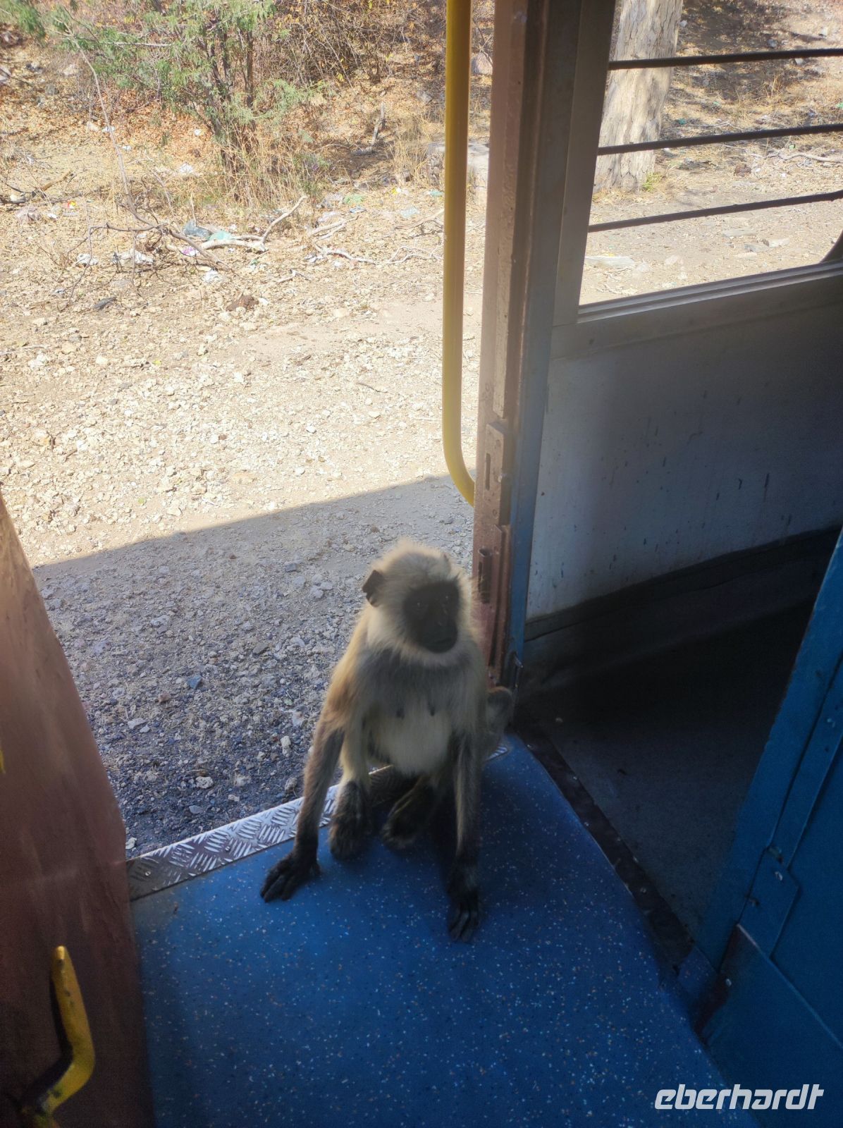 Blinde Passagiere auf unserer Zugfahrt durch das Umland von Jojowar, Rajesthan - Indien