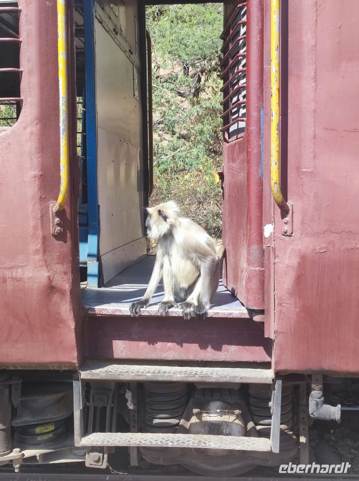 Blinde Passagiere auf unserer Zugfahrt durch das Umland von Jojowar, Rajesthan - Indien