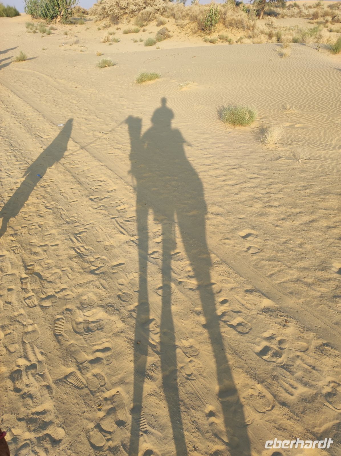 Auf Kamelsafari in der Thar-Wüste, Rajesthan - Indien