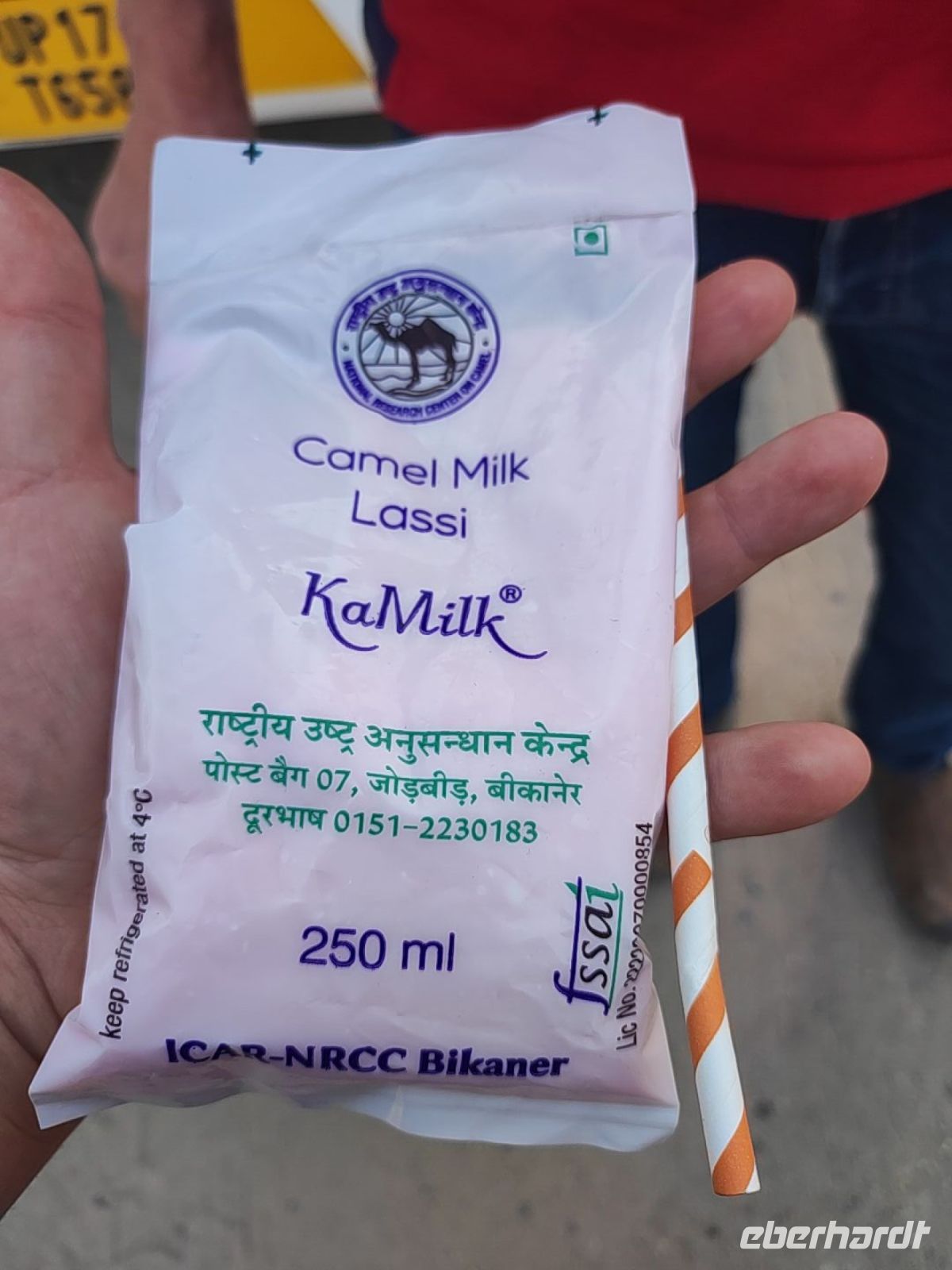 Kamelmilch Lassi (Milchgetränk) auf der Kamelfarm in Bikaner, Rajesthan - Indien