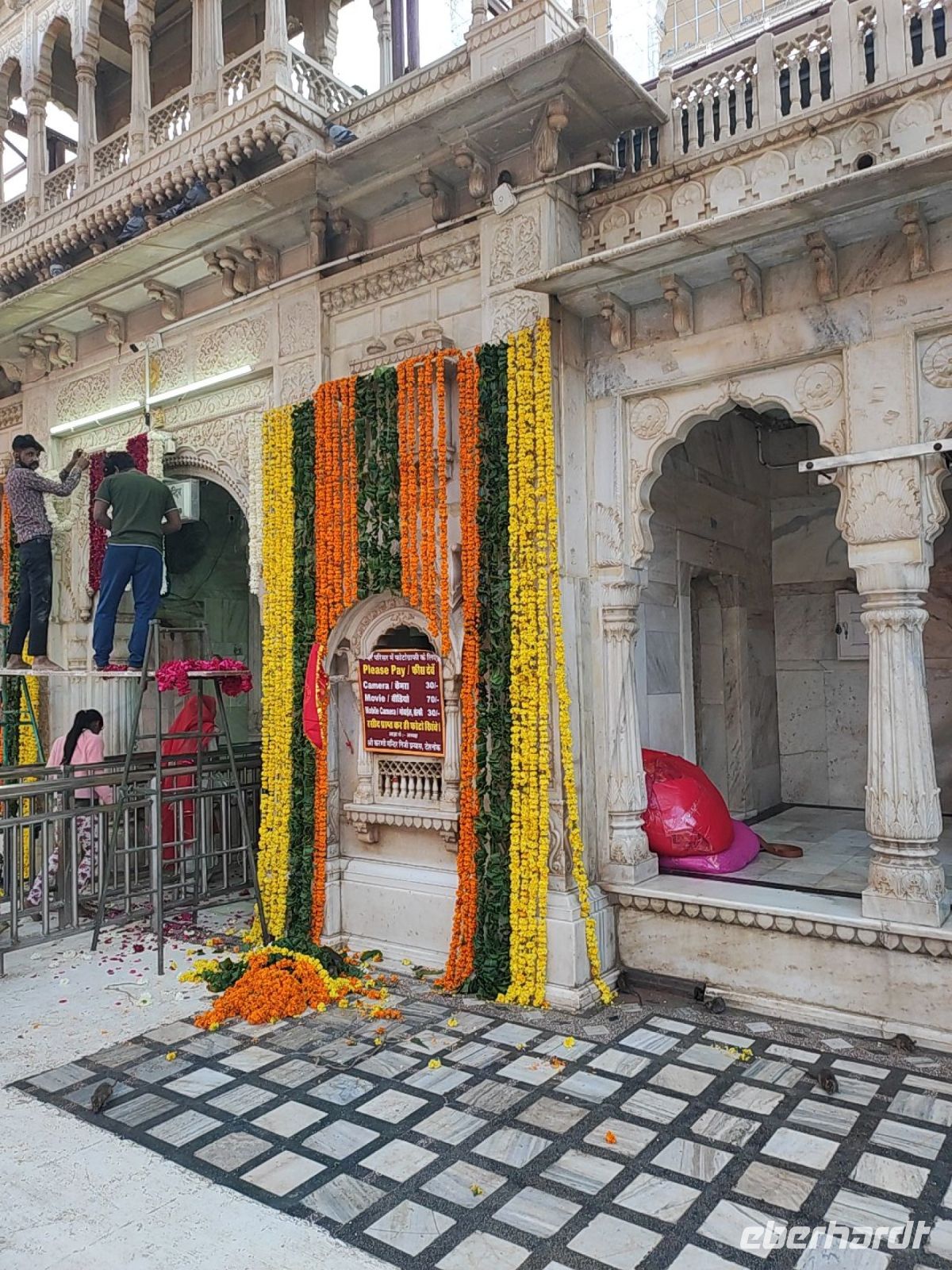 Rattentempel in Bikaner, Rajesthan - Indien