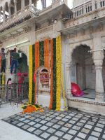 Rattentempel in Bikaner, Rajesthan - Indien