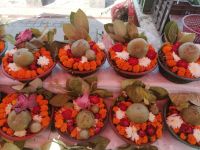 typische Blumen zur Begrüßung