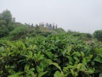 auf dem Weg nach Darjeeling: unsere Reisegruppe in Kurseong