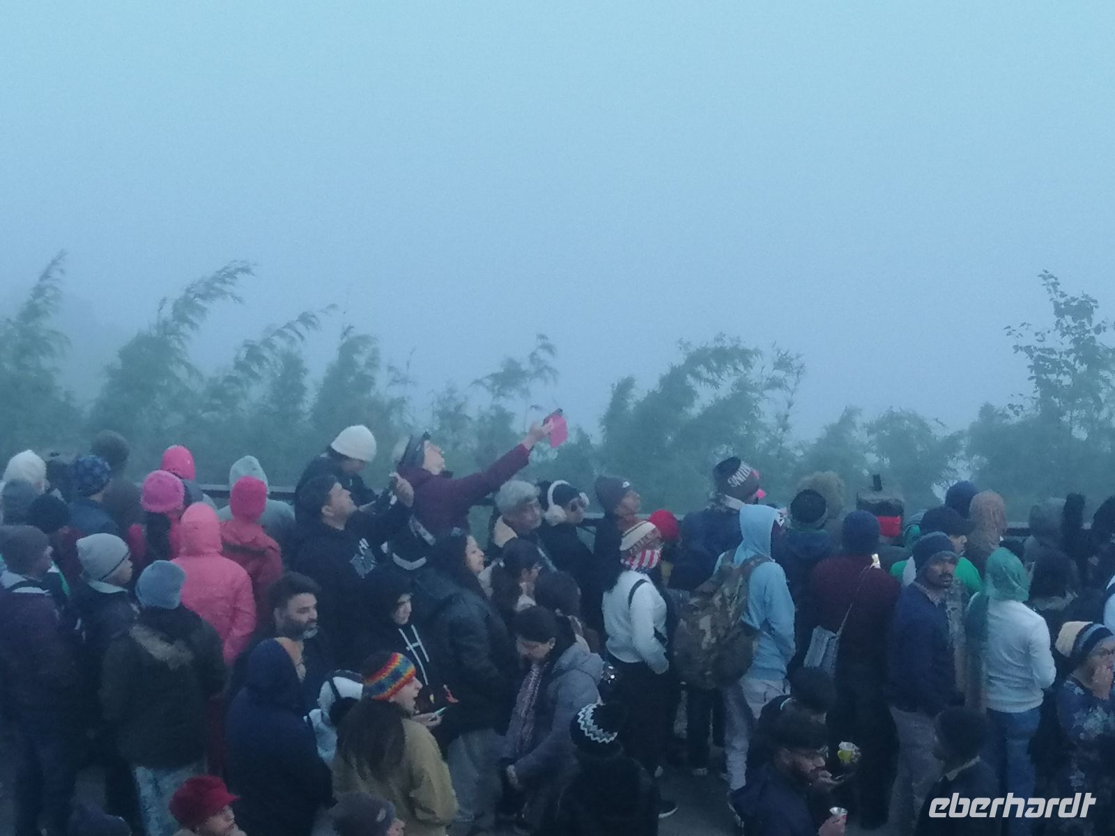 Tiger Hill: die Hoffnung stirbt zu letzt...