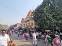 Auf delhis Strassen (4)