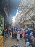 Auf delhis Strassen (6)